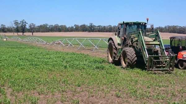Yulin spans Colac.JPG