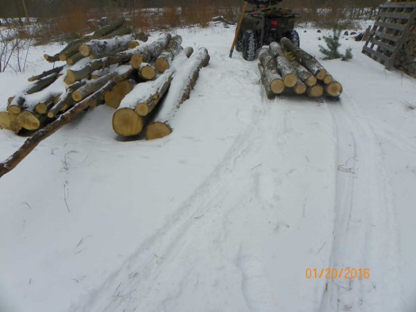 Pulled up to log pile.JPG