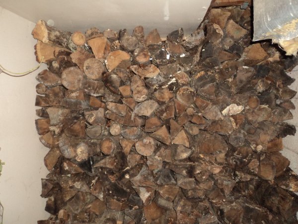 DSC06342 (1024x768).jpg