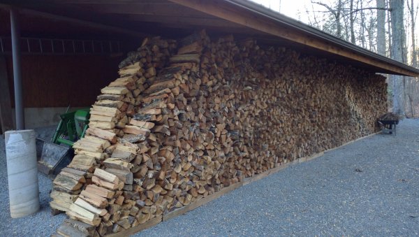 wood behind garage looking west.jpg