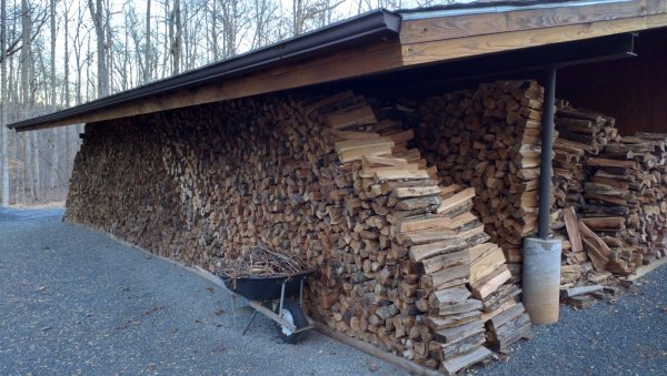 wood behind garage looking east .jpg