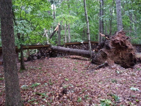 red oak across wood south view .jpg