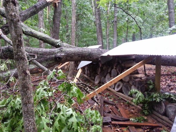 red oak across wood wall back side.jpg