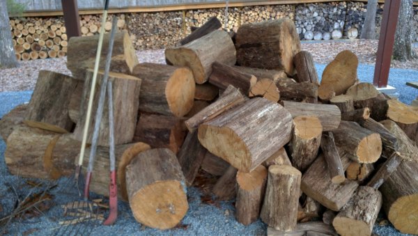 white oak from woods old but solid .jpg