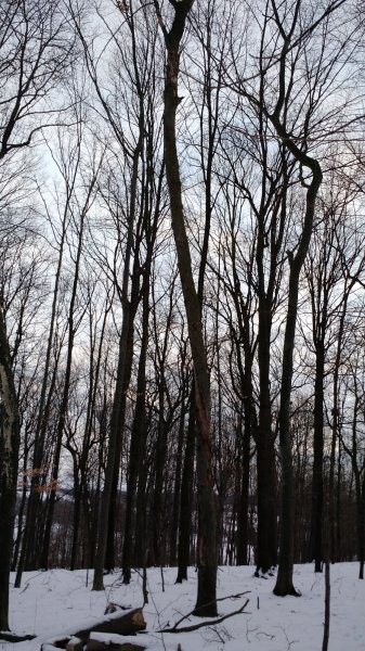 IMG_20160123_160459981.jpg
