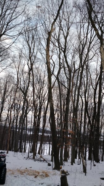 IMG_20160123_160454024.jpg