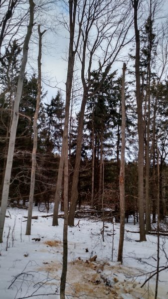 IMG_20160123_160424872_HDR.jpg