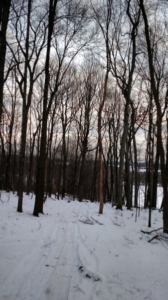 IMG_20160123_160347570.jpg