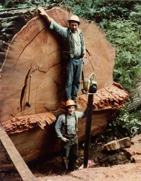 mac 125 massive redwood mid 70's pic 2.jpg