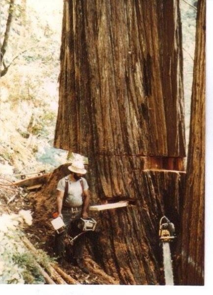 mac 125 massive redwood mid 70's pic 3.jpg