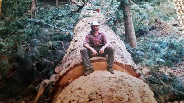 husky 2100cd massive redwood early 80's pic 2.jpg