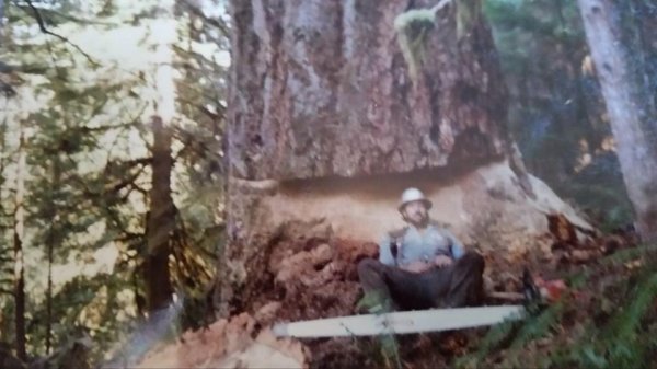 husky 2100cd massive redwood early 80's pic 3.jpg