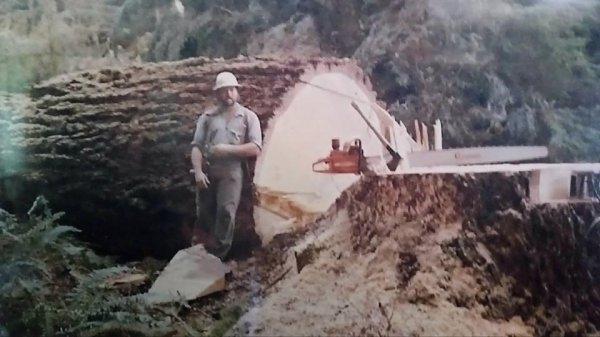 husky 2100cd massive redwood early 80's pic 4.jpg