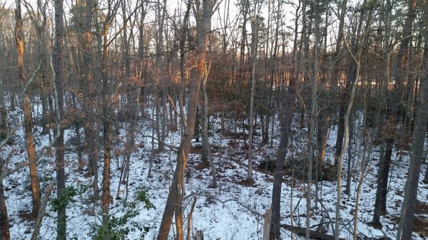 20160130_072920.jpg