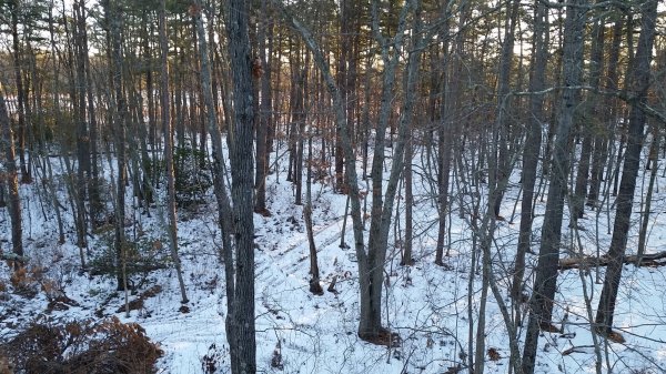 20160130_074341.jpg