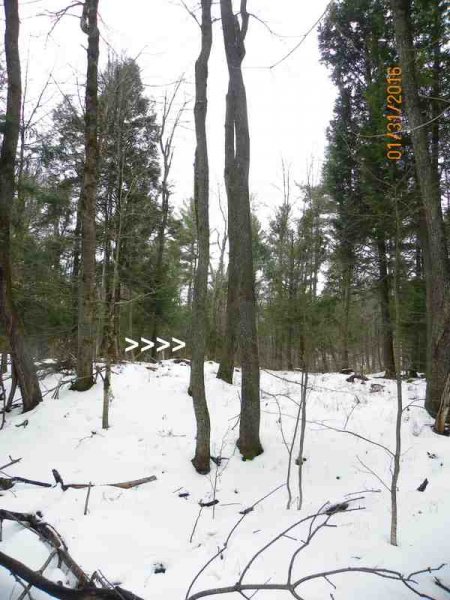 100_9834-001.JPG
