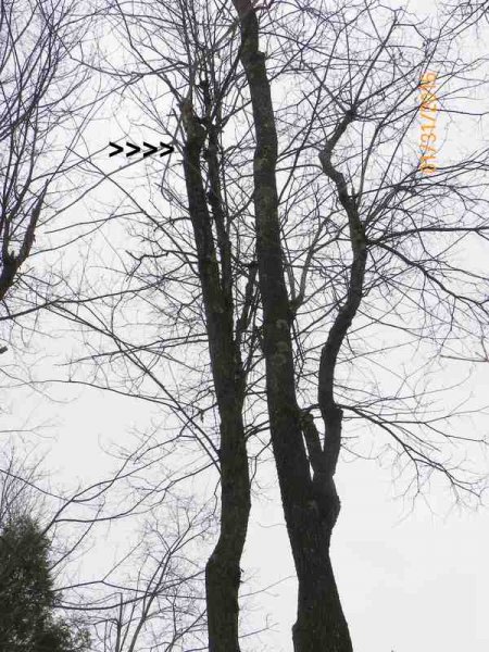 100_9836.JPG