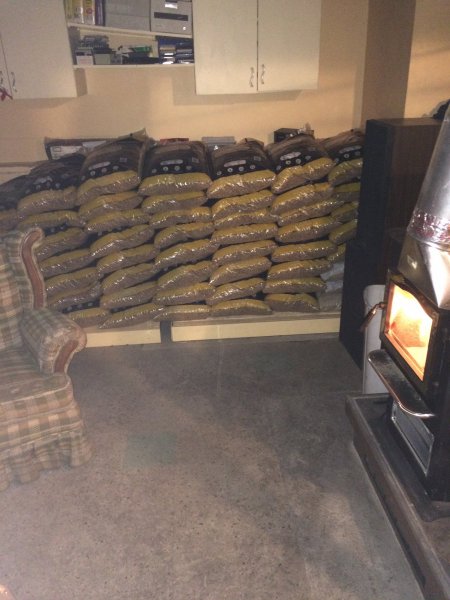 OkanaganGolds (1).JPG