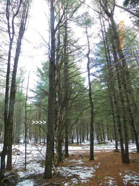 100_9845.JPG