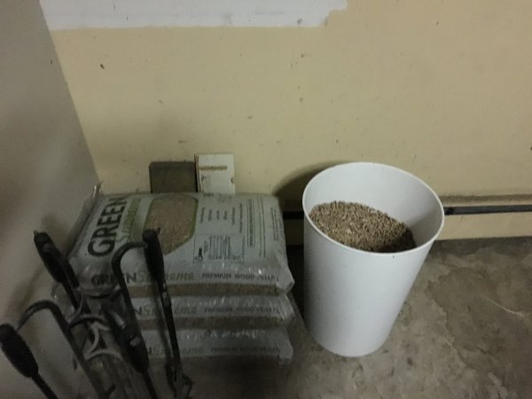 image.jpeg