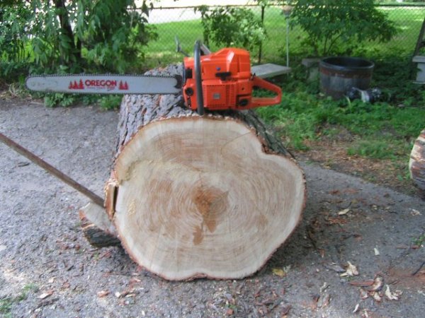 husky 288xpw 28 inch bar 36 inch honey locust august 2012.jpg