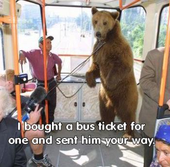 bear-bus.jpg