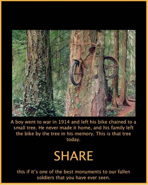 Bike in tree-2.jpg
