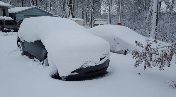 feb snow.jpg