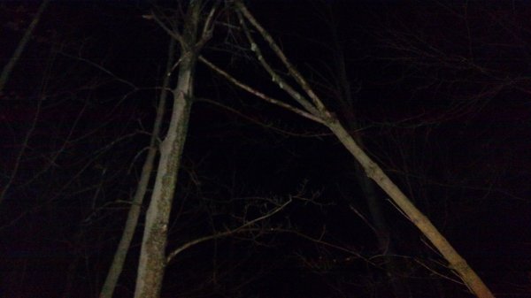 IMG_20160229_060412047.jpg