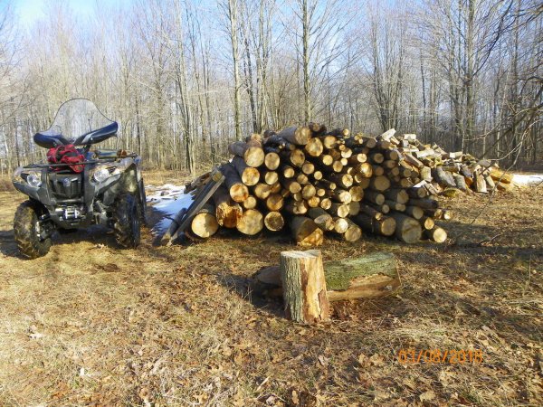 Wood pile-2c.JPG