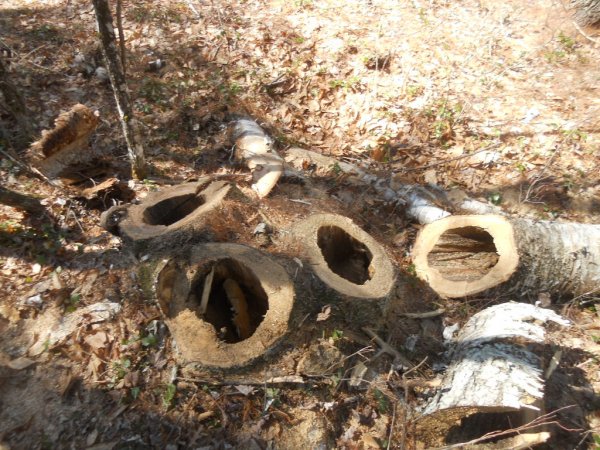 DSCN7855.JPG