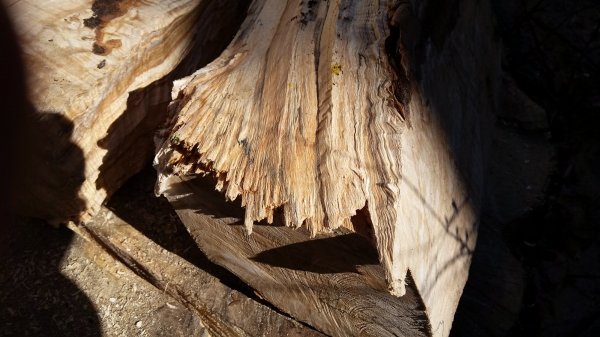 20160319_150057.jpg
