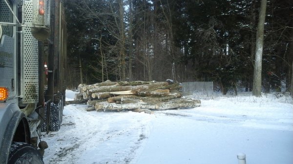 20160104_140717.jpg