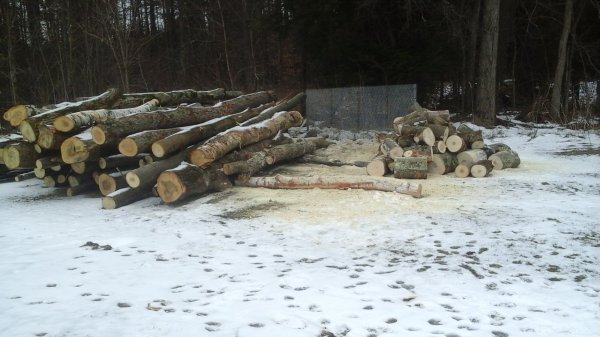 20160117_144918.jpg