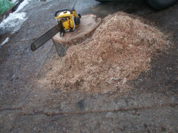 mac 125C january 2014 white oak noodles.jpg