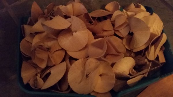 20160320_174540.jpg