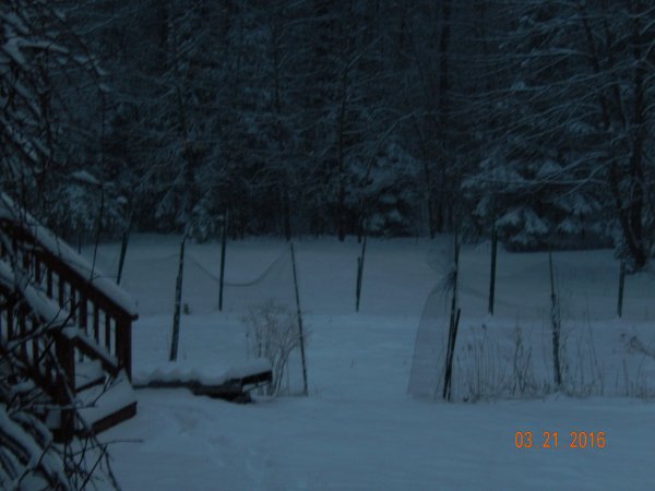 DSCN1048.JPG