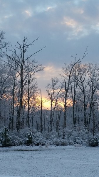 20160321_071136.jpg