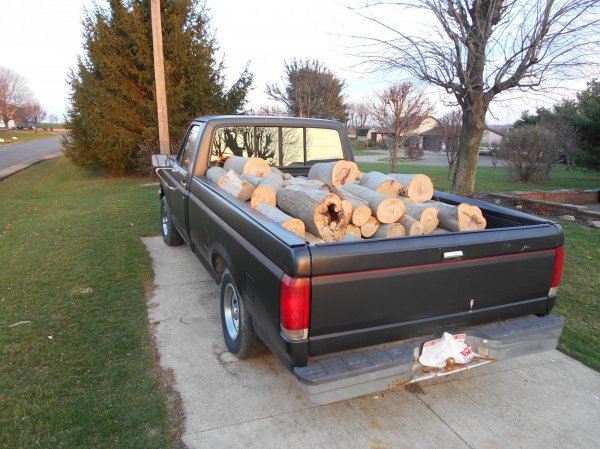 cut some more 002.jpg