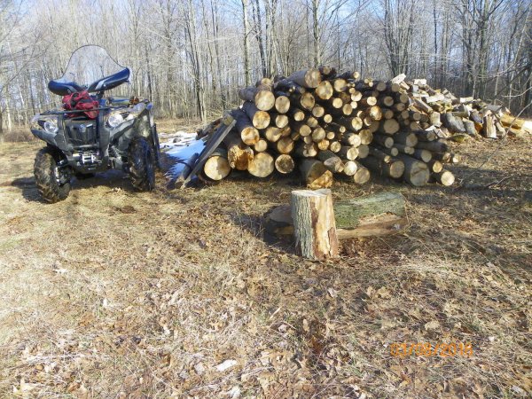 Wood pile-2b.JPG