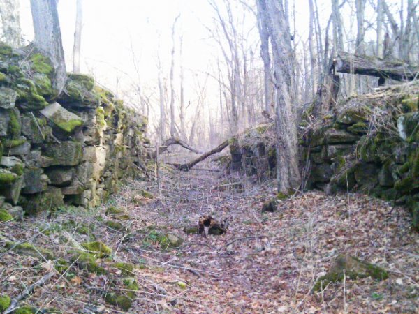 IMAG0174.JPG