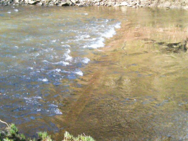 IMAG0191.JPG