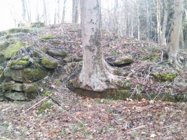 IMAG0205.JPG