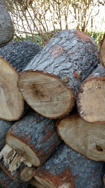 wood2.jpg