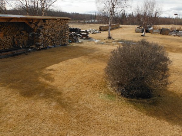 DSCF6451.JPG
