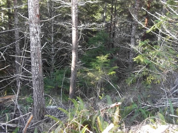 March 30 2016 (2).JPG