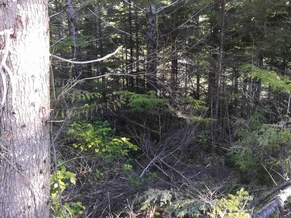 March 30 2016 (4).JPG