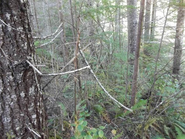 March 30 2016 (6).JPG