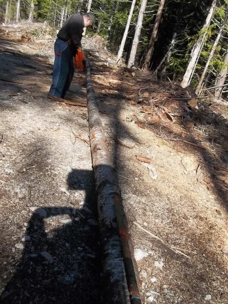 March 30 2016 (14).JPG