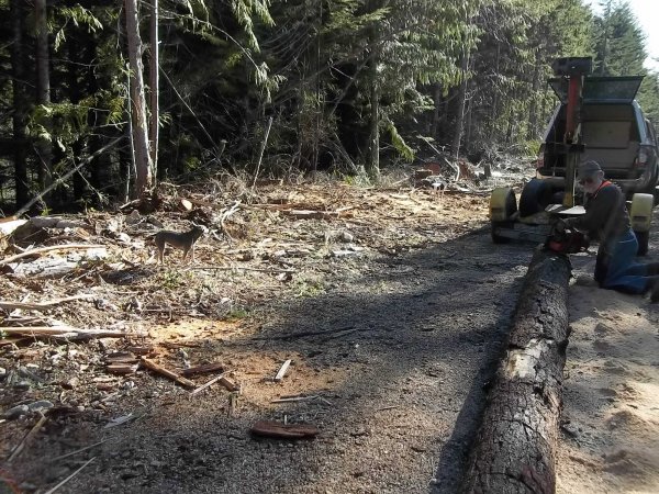 March 30 2016 (12).JPG